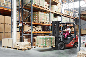 Image of Florida Industrial Warehouse Worker Driving Forklift